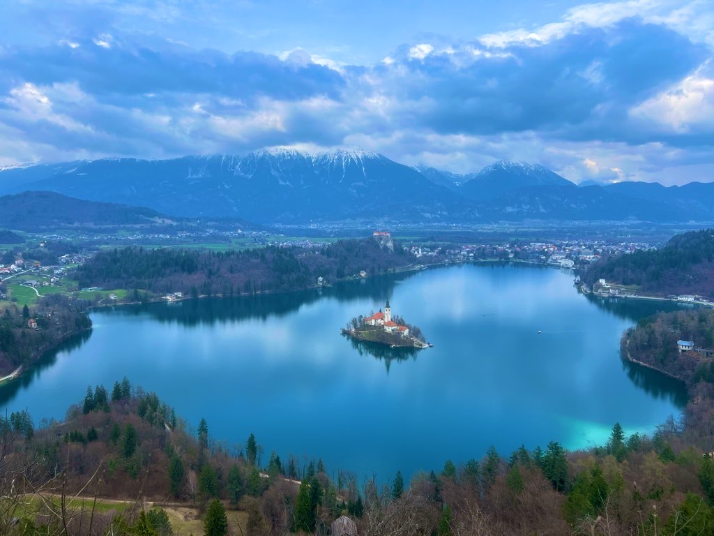 Josh Maskill tweet media