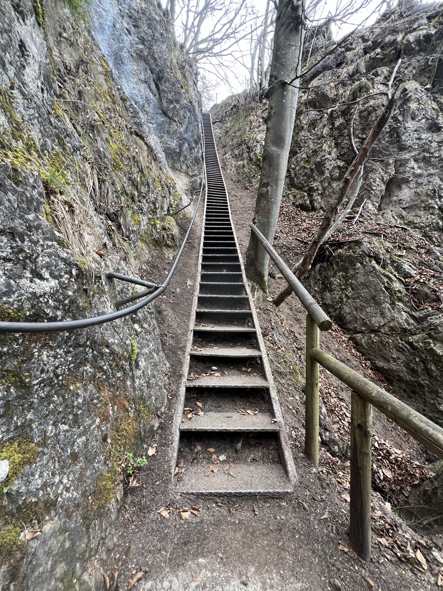 Josh Maskill tweet media