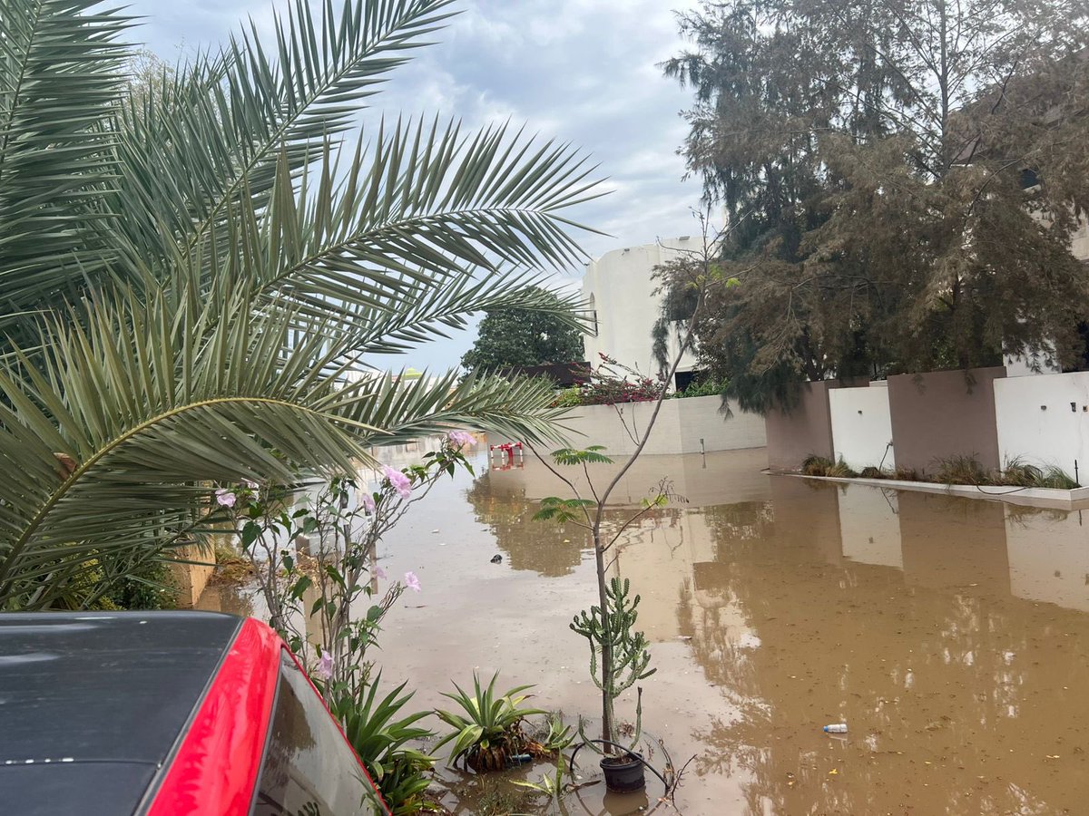 Ahmed Al-Hamdi  tweet media