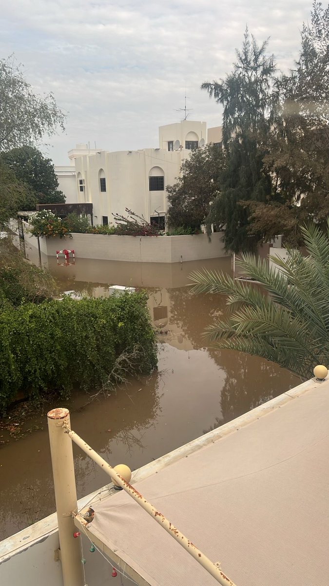 Ahmed Al-Hamdi  tweet media