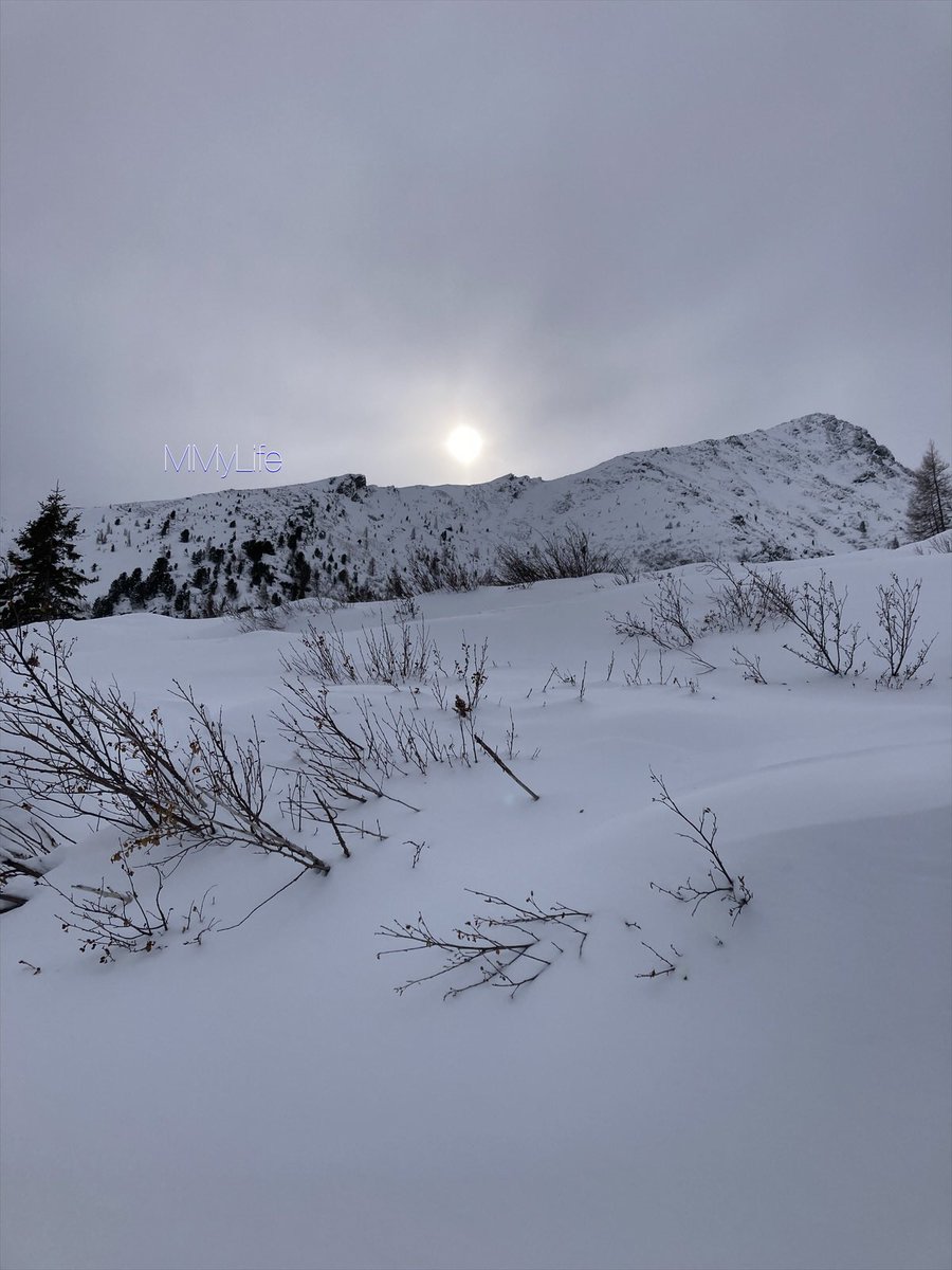 ManuelaMravlak's tweet photo. Magical glowing…🩶✨
#NaturePhotography #Austria 🇦🇹
#Mountain #MountainLover #Falkert 🏔️
@StormHour @ThePhotoHour #Clouds ☁️
#SundayMagic #SundayFeeling 🤍 https://t.co/j9IXilmW8P