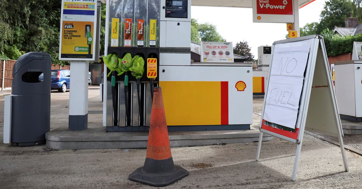 Little Think Tank tweet media