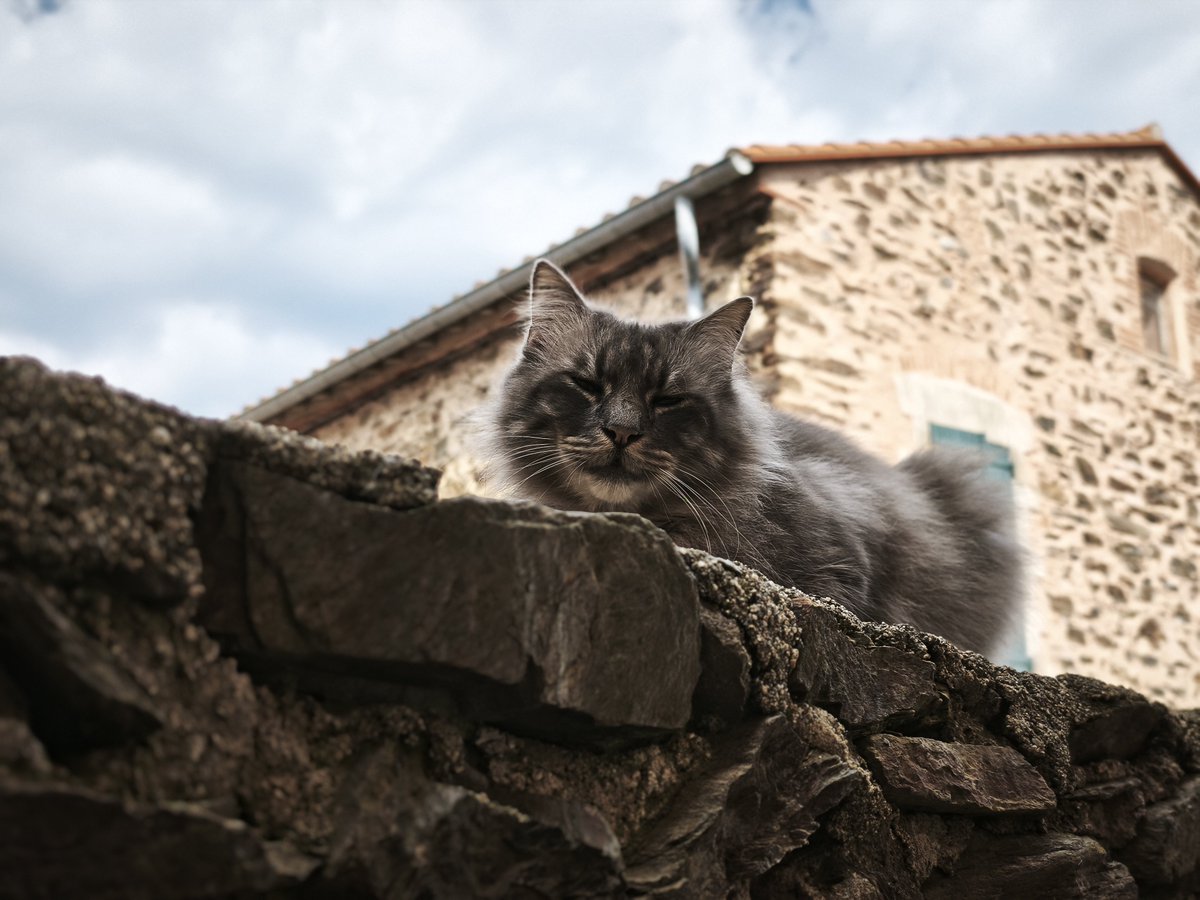 Ze Redge tweet media