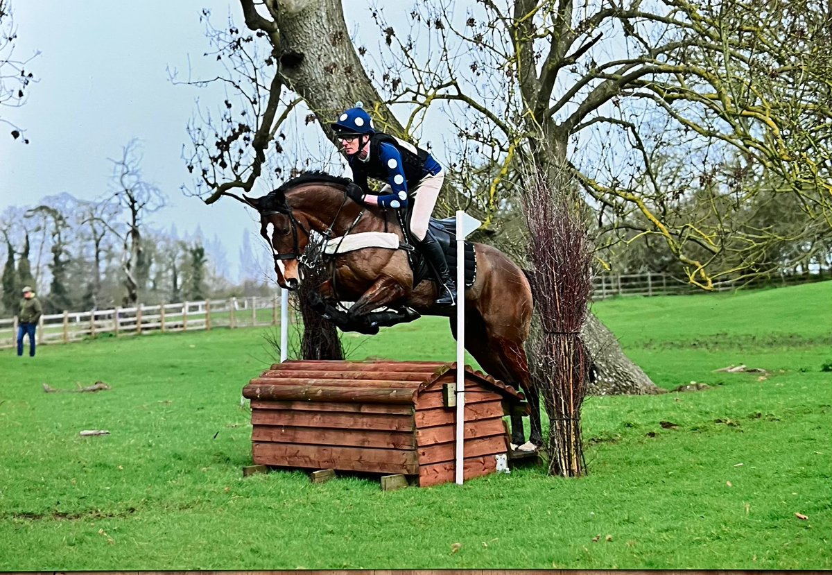 Dash Grange Stud tweet media