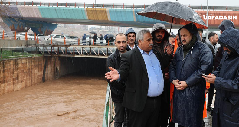 Urfadasın tweet media