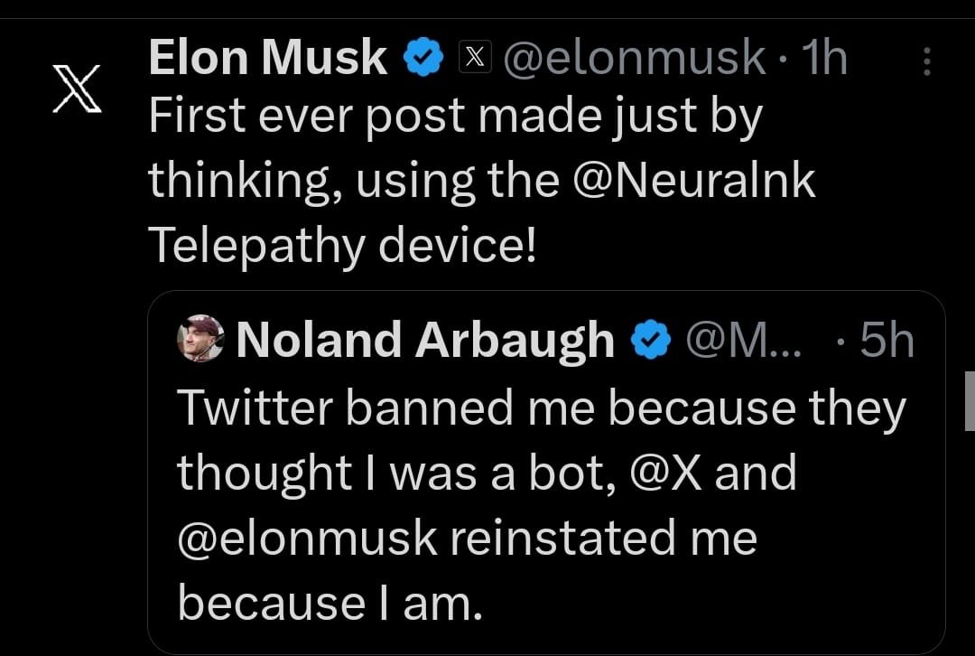 BLACK DUMPLING™ tweet media