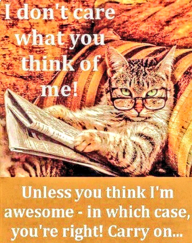 Eye AM👁️Ⓜ️ tweet media