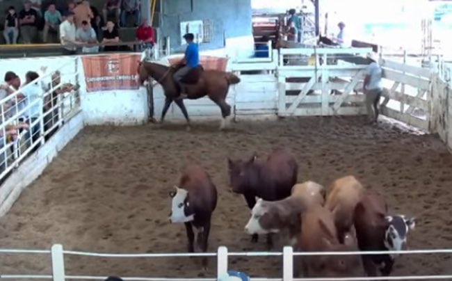 Agroverdad tweet media