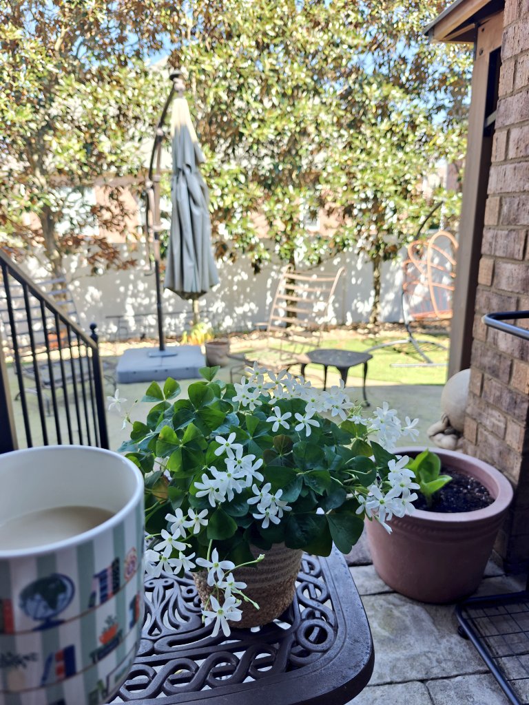 Moonah 🫧 tweet media