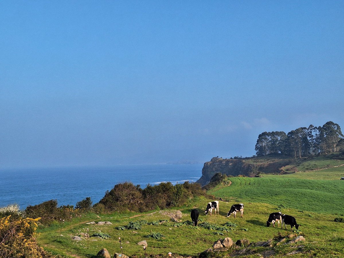 Fran TTTTT tweet media