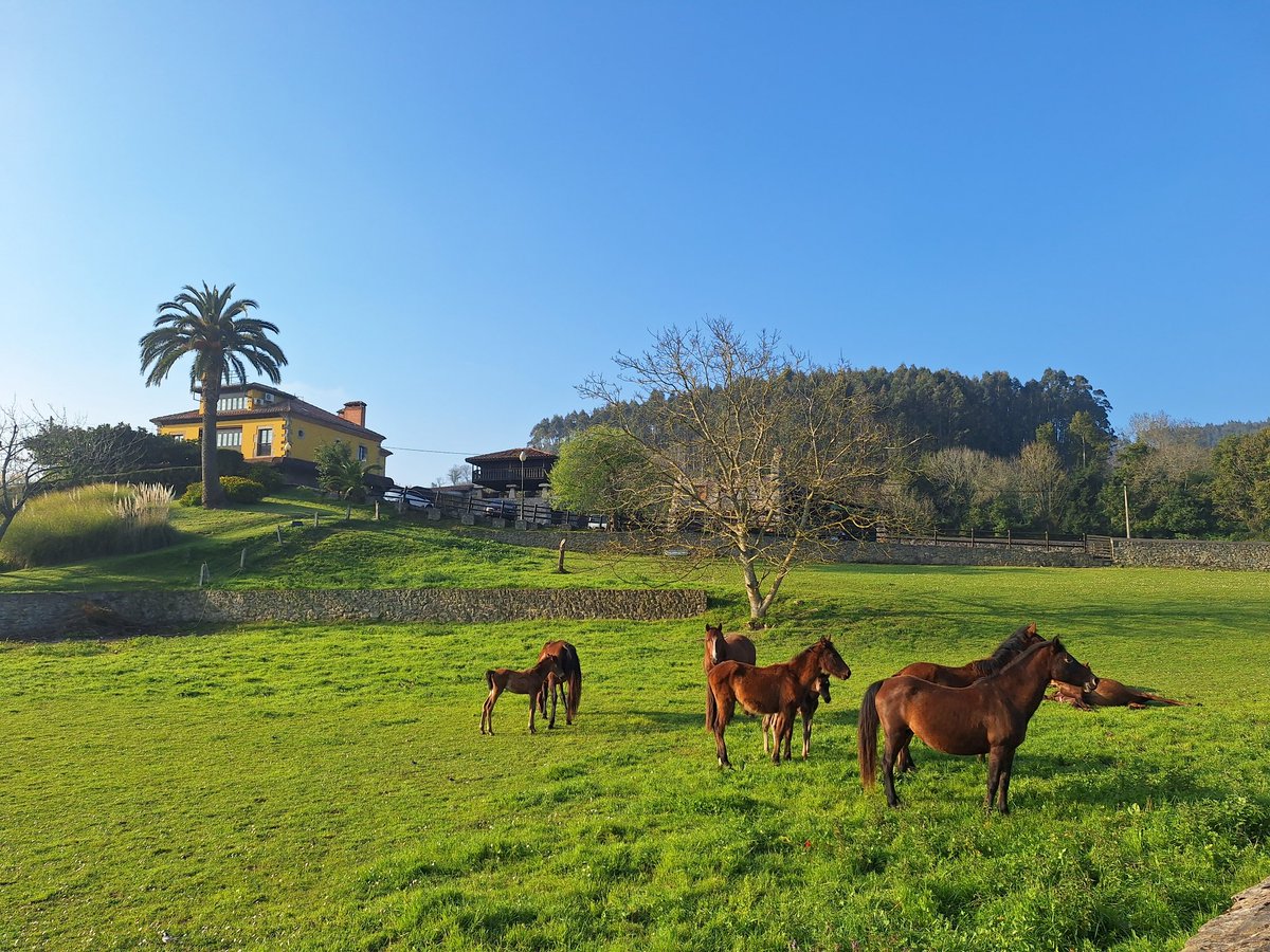 Fran TTTTT tweet media