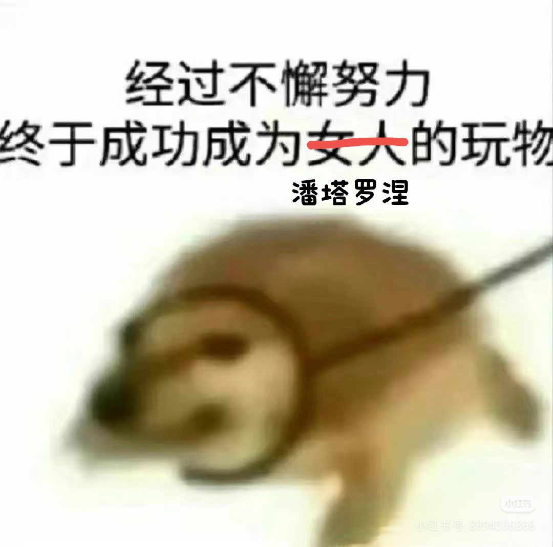 GO3不上不改名😈😇 tweet media