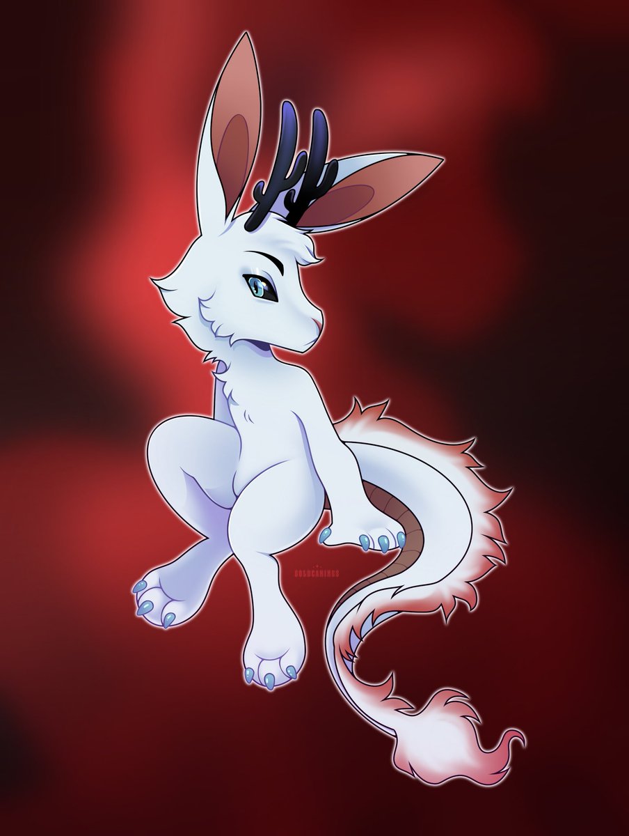 Dragon’s Ace♠️ tweet media