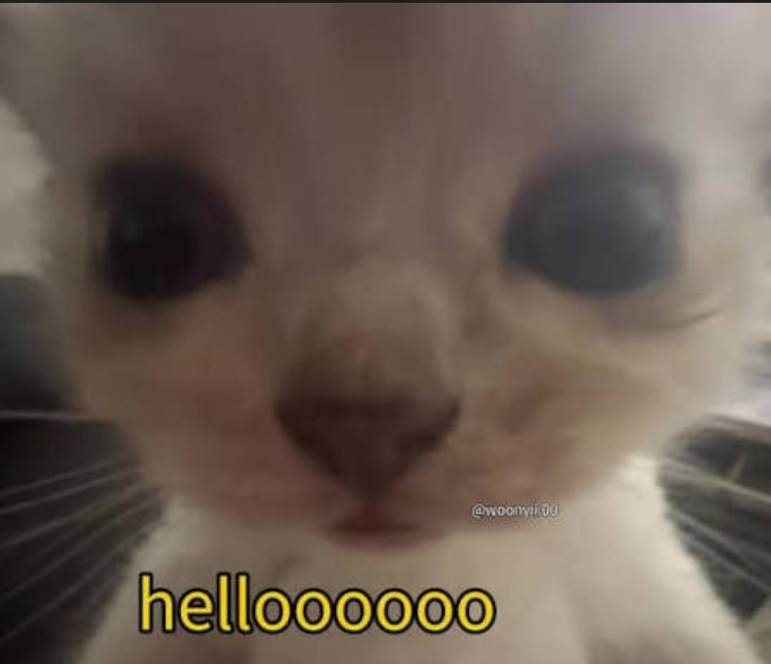 Князь Лиськин tweet media