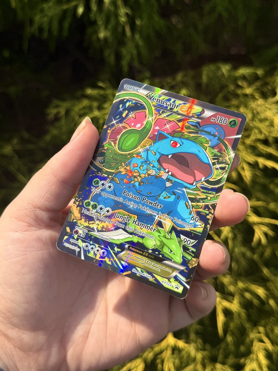 haley 🍃 tweet media