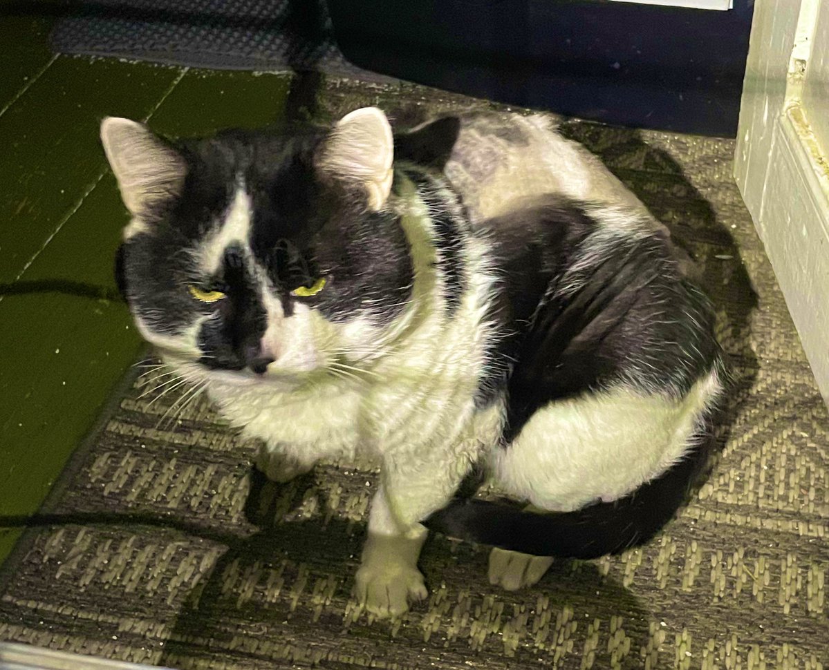 Little Mys Aunt tweet media