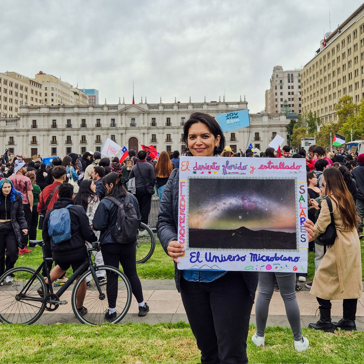 Cristina Dorador Ortiz 🦩 tweet media