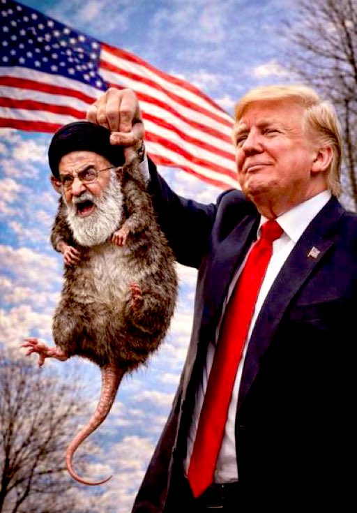 Liza Rosen tweet media