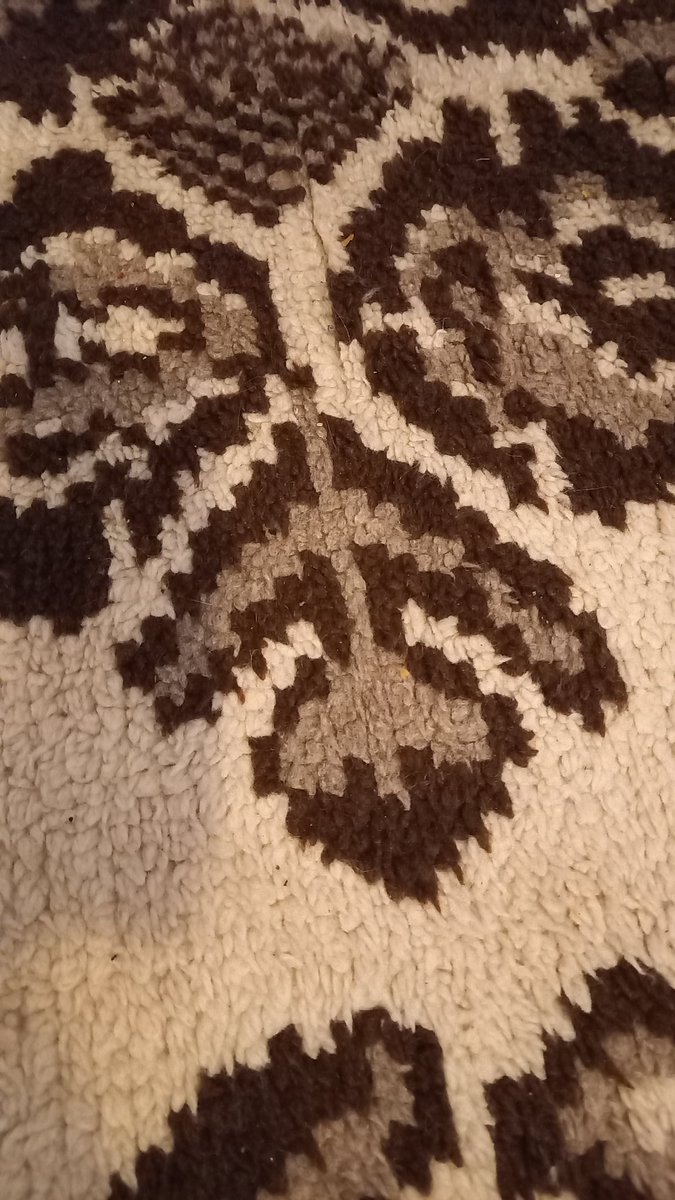 Gareth Jennings tweet media