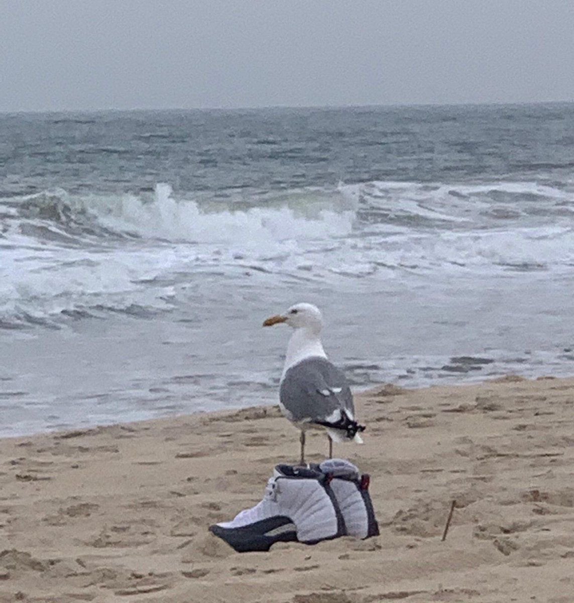 Vega 😠 tweet media