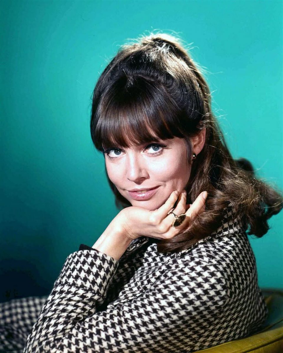 Hollywood Horror Museum tweet media