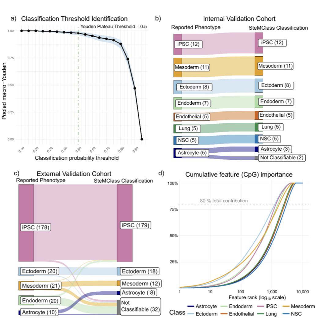 Ruslan Rust tweet media