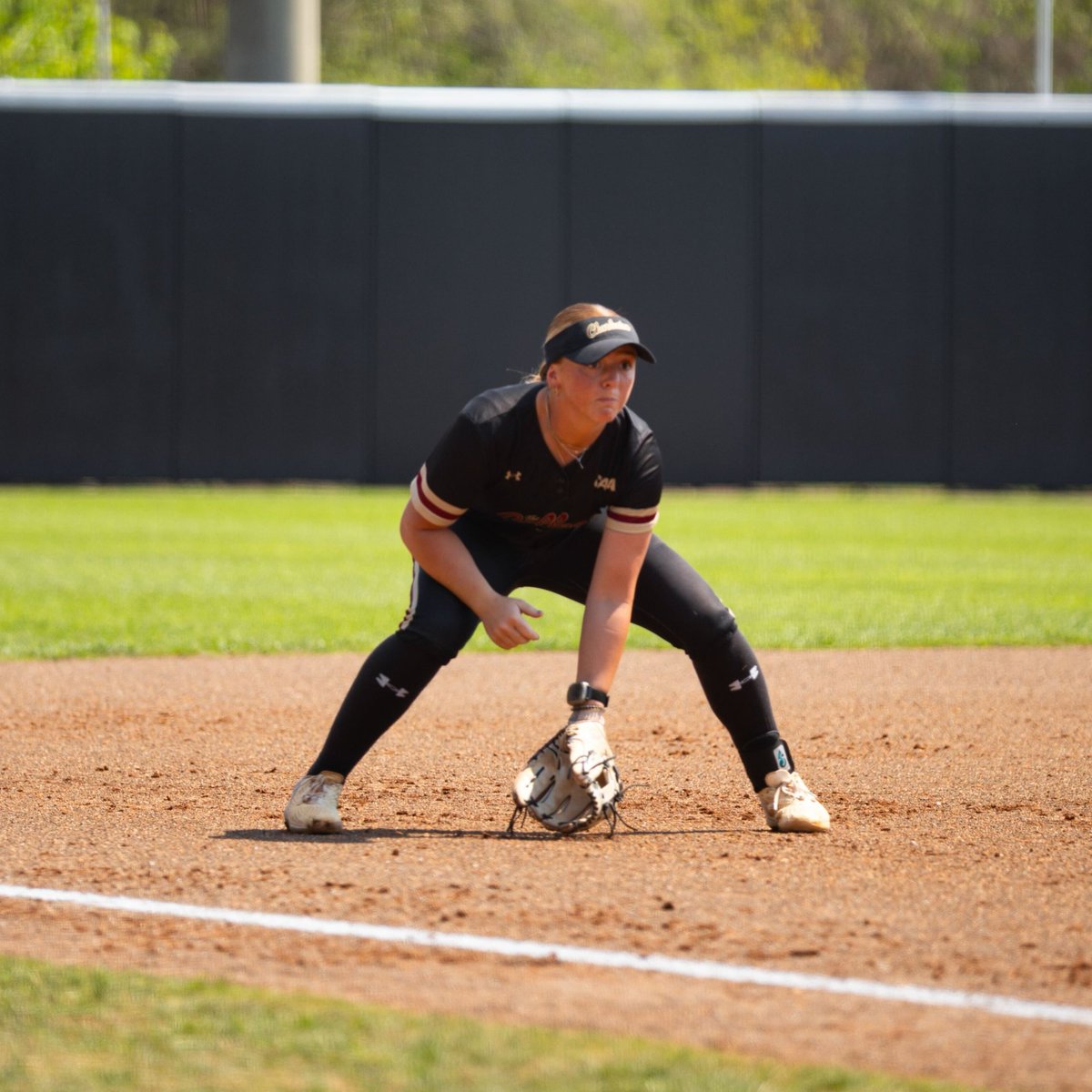 Charleston Softball tweet media