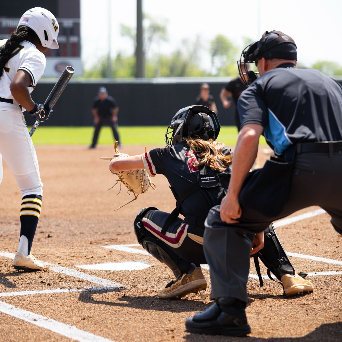 Charleston Softball tweet media