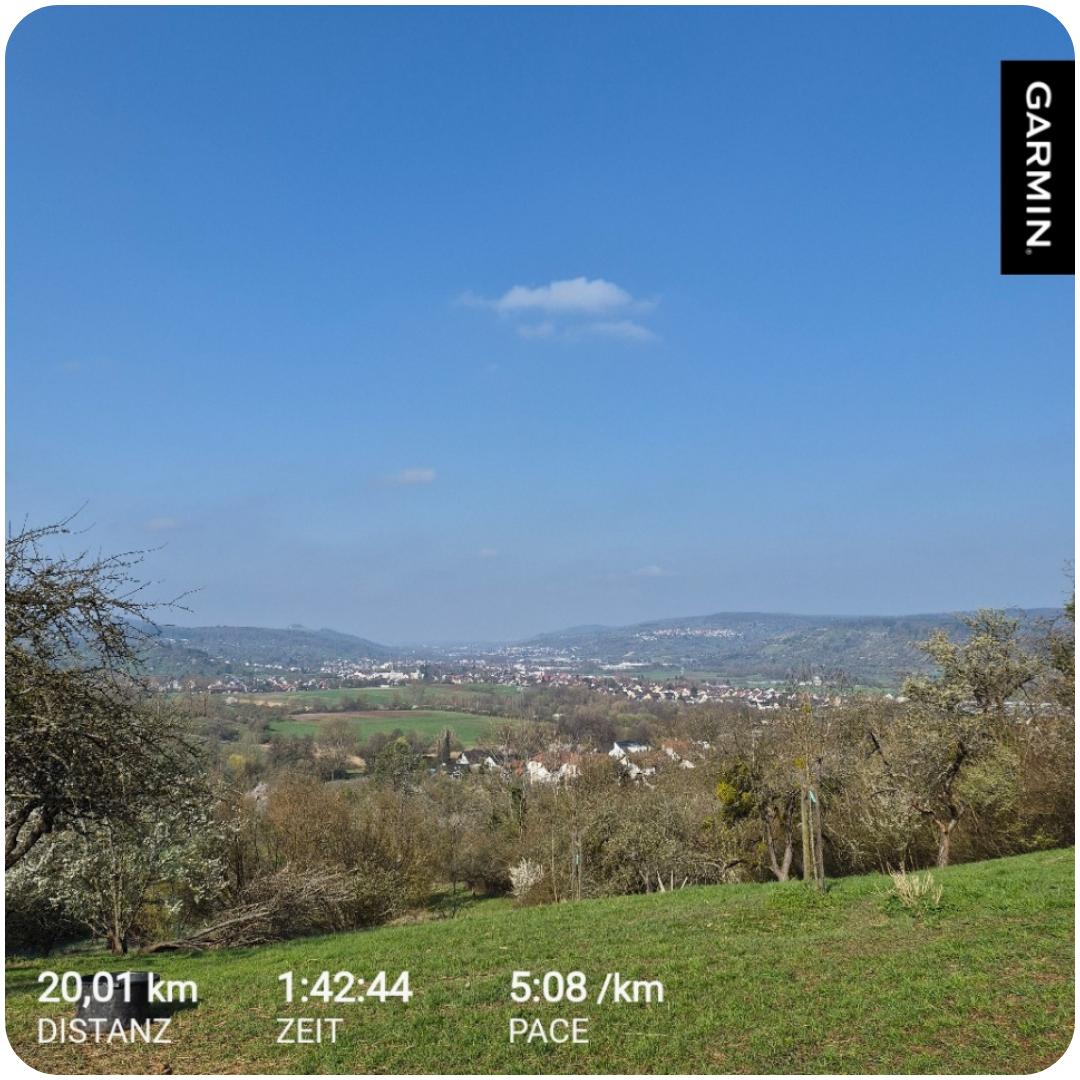 Andi Running tweet media