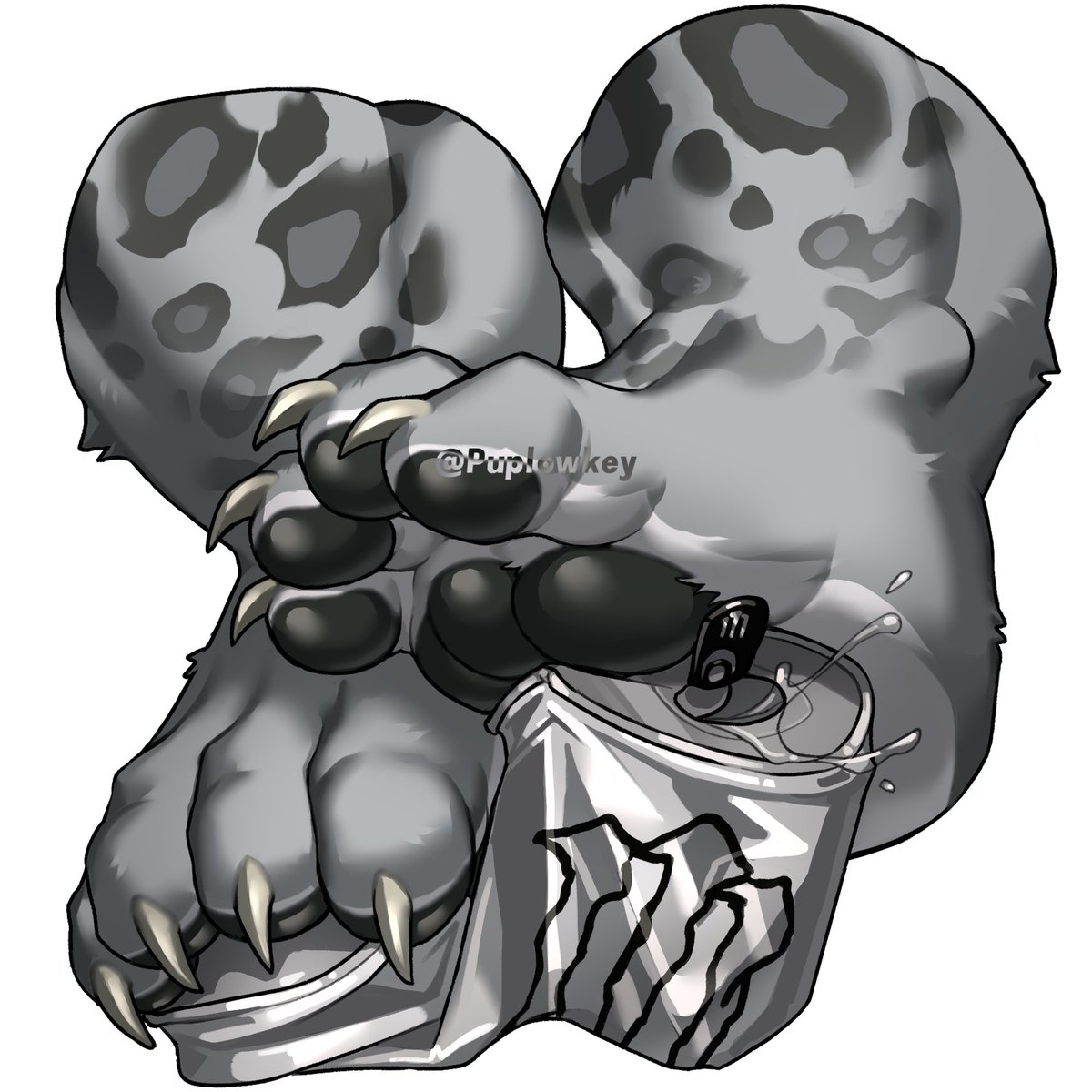 逻辑臭狗 tweet media