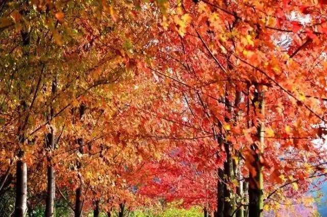 Duncan phillips tweet media