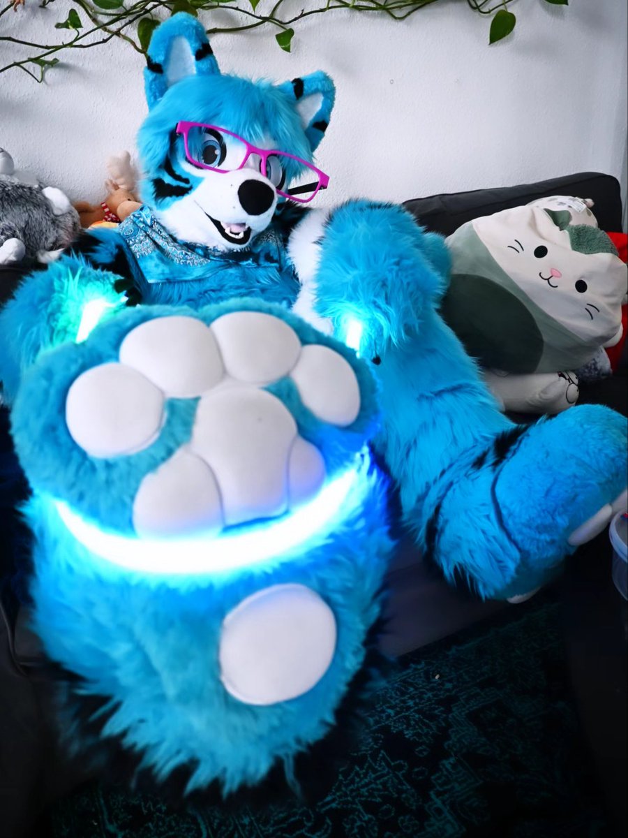 Vuk🔜NFC tweet media