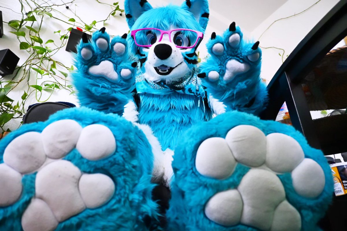 Vuk🔜NFC tweet media