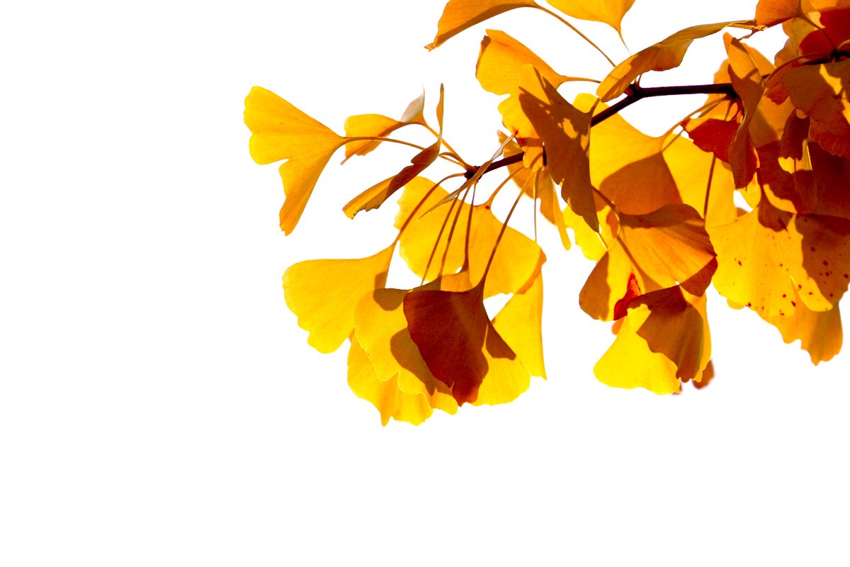 Philip Clayton tweet media