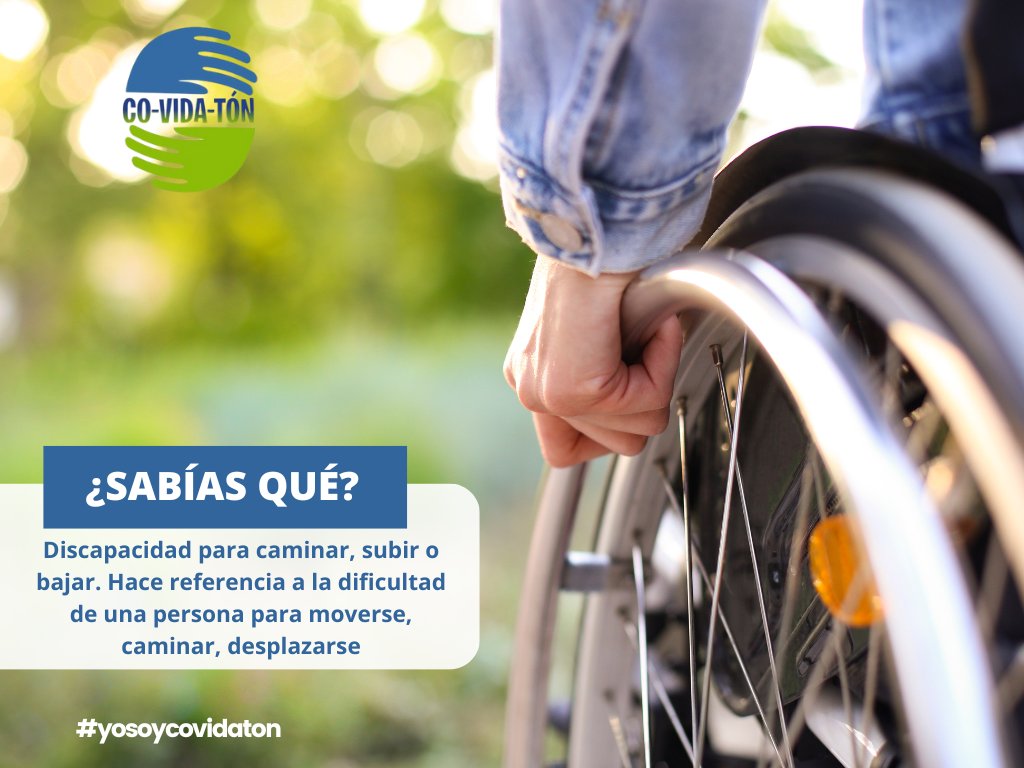 CO-VIDA-TON tweet media