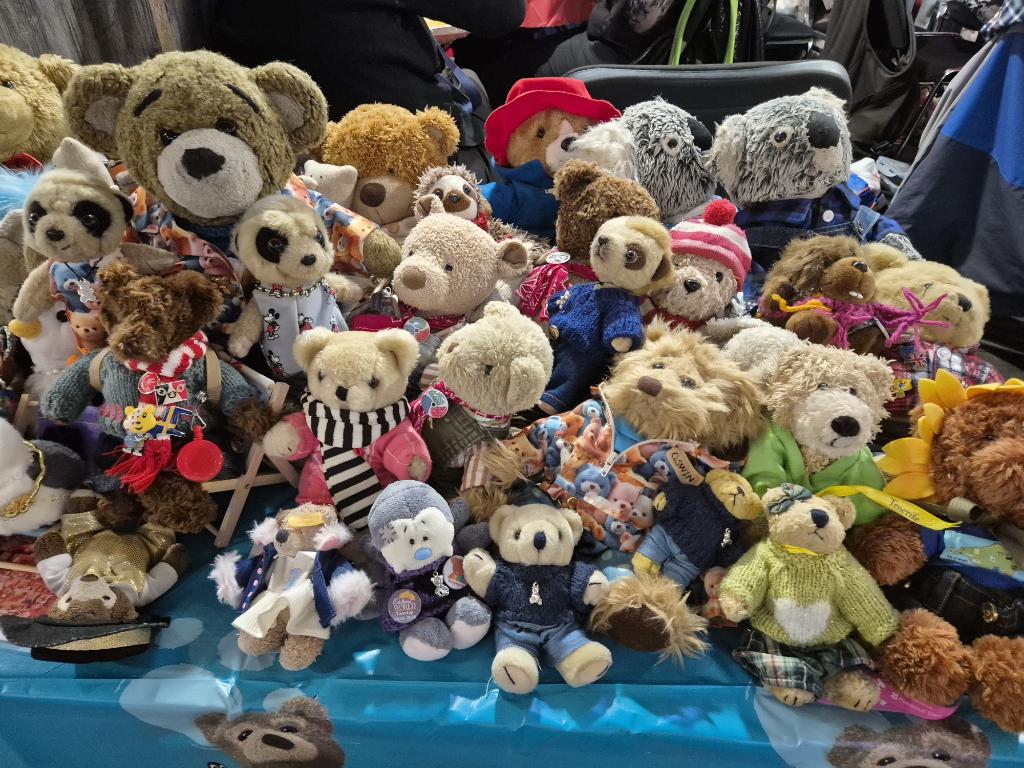 ann cooper tweet media