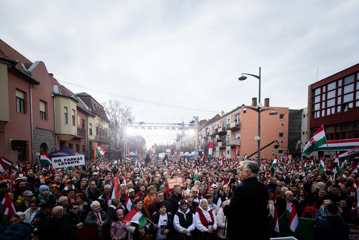 Zoltan Kovacs tweet media