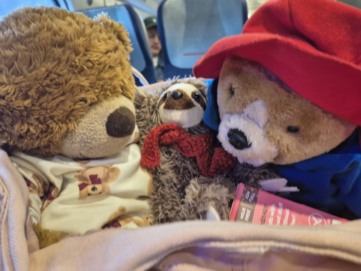 ann cooper tweet media