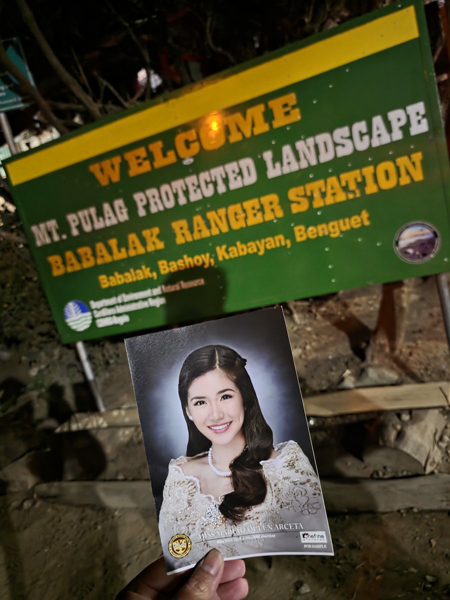 bhengerr tweet media