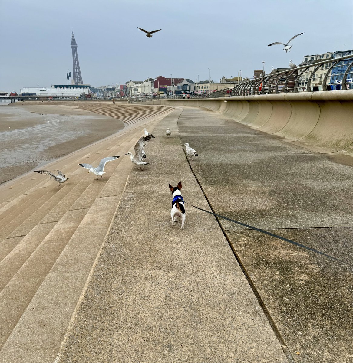 Bank on Dave tweet media