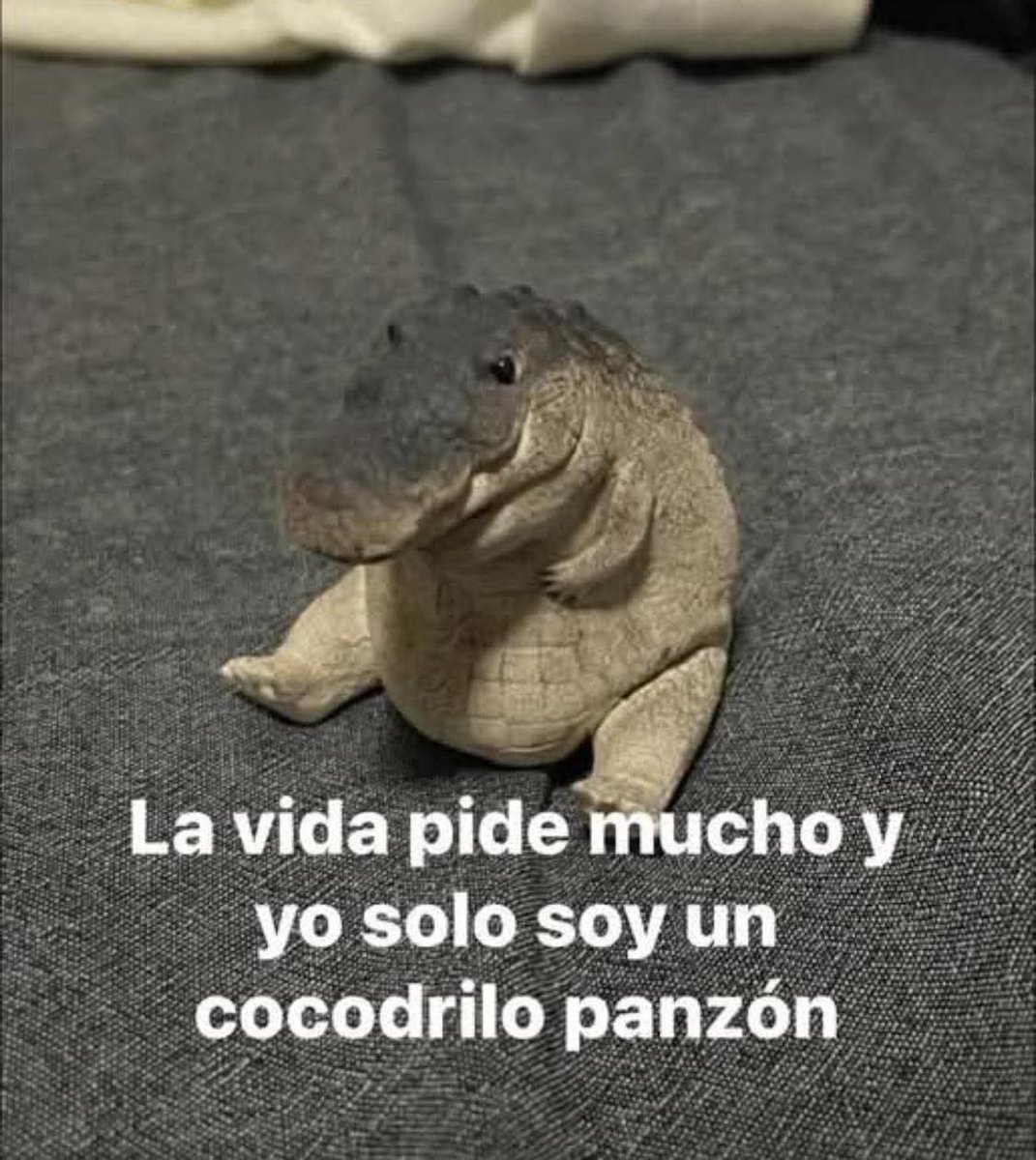 Animalesaprieto's tweet photo. https://t.co/NpRbQ1mrWP