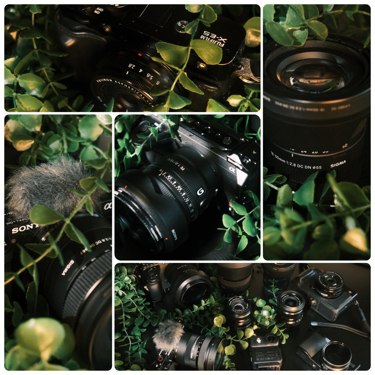 Setsuna ⚙️🤖 tweet media