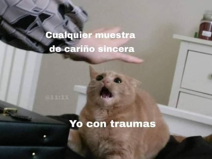 Animalitos en aprietos. tweet media