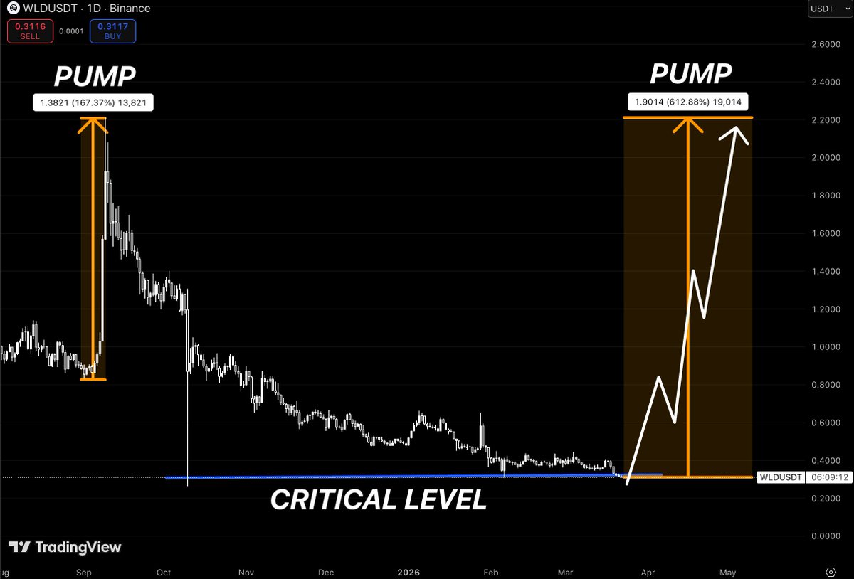 chief of overthinking tweet media