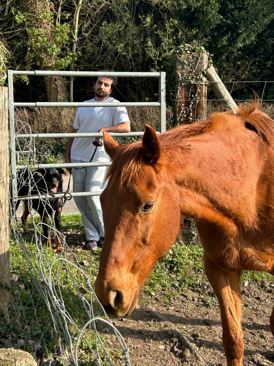 Aphros (Claymore Era) tweet media