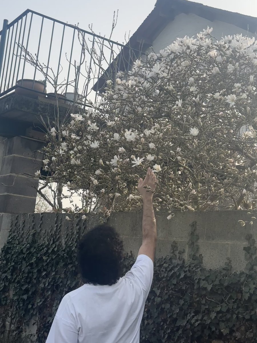 Aphros (Claymore Era) tweet media