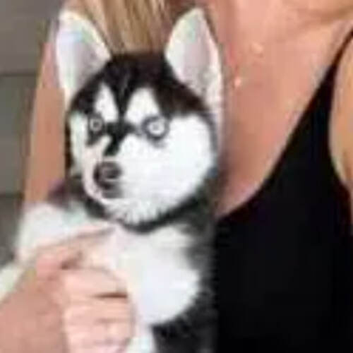 0xalwaysearly tweet media