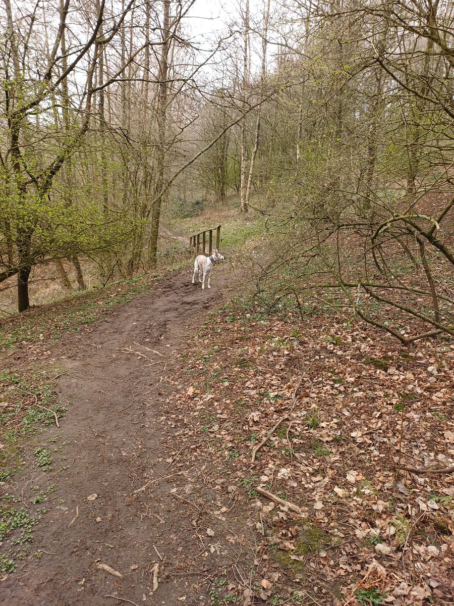 John 🏴🏴🏴 tweet media