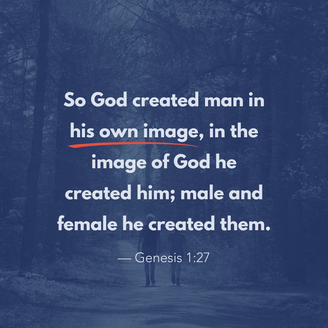 Remember today that you are a purposeful creation, made in the very image of God. 

For more encouragement, check out the practical, Christ-centered resources at biblicalcounselingcoalition.org