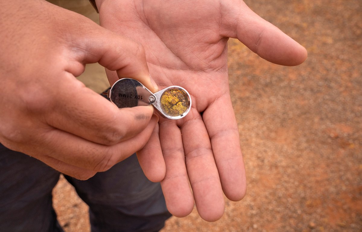 Quanta Magazine tweet media